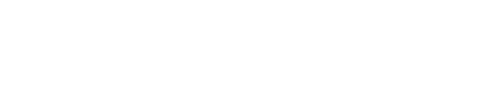 SoftEx Logo